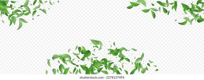 Forest Leaves Blur Vector Panoramic Transparent Background Border. Tree Greens Poster. Green Foliage Realistic Template. Leaf Swirl Backdrop.