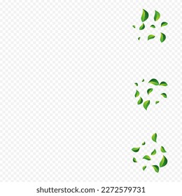 Forest Leaves Blur Vector Transparent Background. Spring Greens Pattern. Olive Foliage Herbal Branch. Leaf Motion Illustration.
