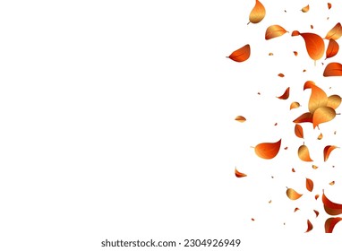 Forest Leaves Blur Vector White Background Banner. Forest Solar Branch. Orange Leaf Ecology Backdrop. Foliage Organic Poster.