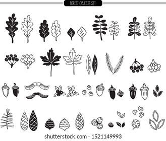Forest leaves, bumps, nuts and seeds doodle set. Vector hand drawn botanical illustration. Isolated black objects on white. Useful for design pattern, textile, invitation, advertisement - Vector
