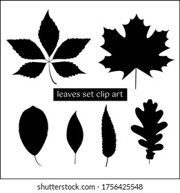 Forest leaves. Clip art. Set of isolate black on white of 6 pieces. A selection of autumn leaves. All items are grouped. EPS 10