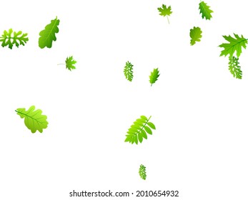 Forest leaves delicate vector pattern. Tropical forest foliage macro. Rowan and oak leaves falling. Herbal eco design. Agriculture vibrant backdrop.