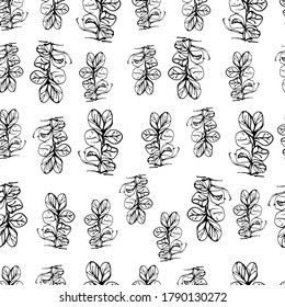 Forest leaves at different angles, forest green plants, grass. manual graphics. Botanical leaf liner. for textile decoration and wallpaper, packaging. isolated stock graphics