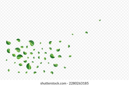 Forest Leaves Ecology Vector Transparent Background. Motion Leaf Pattern. Swamp Greens Transparent Design. Foliage Wind Border.