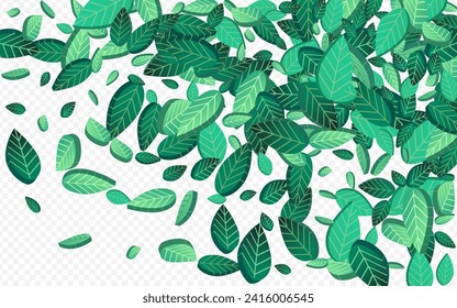 Forest Leaves Falling Vector Transparent Background Concept. Motion Greens Design. Olive Leaf Flying Border. Foliage Swirl Background.