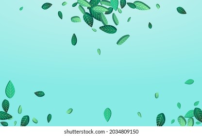 Forest Leaves Fly Vector Blue Background Concept. Realistic Greens Pattern. Mint Foliage Wind Design. Leaf Herbal Illustration.