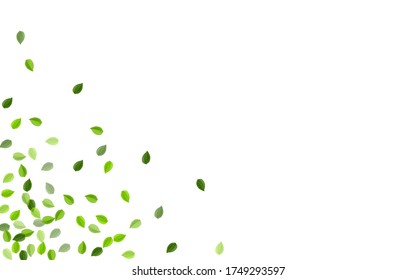 Forest Leaves Fly Vector Illustration. Spring Greens Branch. Falling  Plant Leaf.Foliage Nature Pattern.