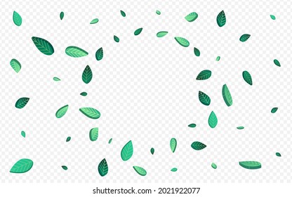 Forest Leaves Fly Vector Transparent Background Design. Tea Leaf Background. Green Greens Forest Plant. Foliage Wind Brochure.