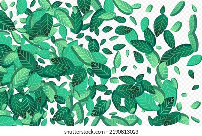 Forest Leaves Fly Vector Transparent Background Poster. Herbal Foliage Pattern. Green Greens Fresh Background. Leaf Swirl Design.