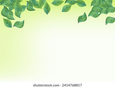 Forest Leaves Fresh Vector Green Background Poster. Abstract Leaf Banner. Mint Greenery Flying Design. Foliage Fly Template.