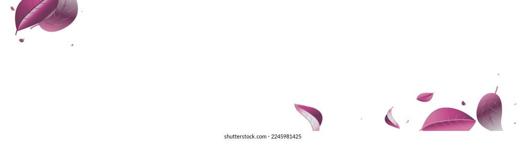 Forest Leaves Fresh Vector White Panoramic Background Concept. Realistic Leaf Poster. Violaceous Solar Tree Plant. Foliage Flying Backdrop.