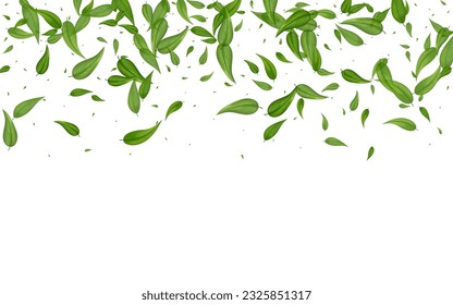 El bosque deja un nuevo vector con un borde de fondo blanco. Papel de escritorio de flotación de movimiento. Ilustración verde de los bosques. Folleto sobre la naturaleza de la hoja.