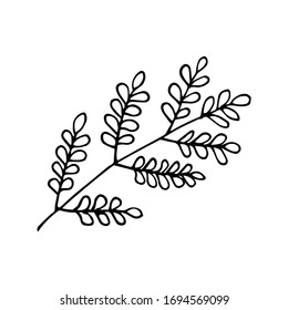 Forest leaves hand drawn vector. autumnal garden leaf Isolated on white background. Botanical forest plants or september october tree foliage