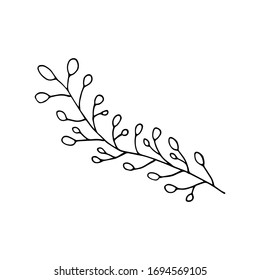Forest leaves hand drawn vector. autumnal garden leaf Isolated on white background. Botanical forest plants or september october tree foliage