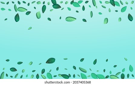 Forest Leaves Herbal Vector Blue Background Wallpaper. Forest Greens Banner. Green Foliage Flying Brochure. Leaf Fly Design.