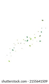 Forest Leaves Herbal Vector White Background. Wind Foliage Branch. Swamp Leaf Spring Brochure. Greens Fresh Design.