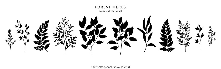 Forest leaves, herbs and branches silhouettes set. Vector illustration.