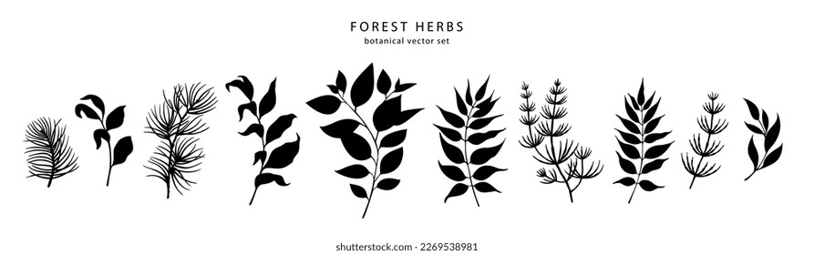 Forest leaves, herbs and branches silhouettes set. Vector illustration.