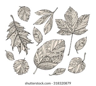 Forest leaves isolated on white background. Vector ornamental artwork. Set collection. Bohemia concept. Black and white, beige