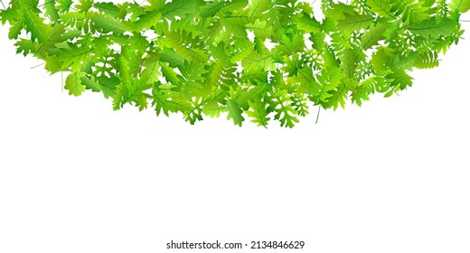 Forest leaves lush vector composition. Tropical forest foliage macro. Mix of many different leaves composition. Herbal natural background. Wild nature delicate backdrop.