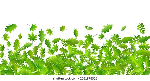 Diseño vectorial exuberante de hojas forestales. macro follaje forestal salvaje. Hojas de roble y roble volando. Papel de pared ecológico de hierbas. Vector vivo floral fresco.