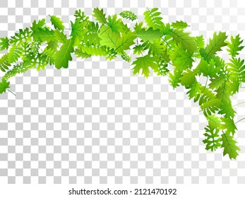 Forest leaves lush vector pattern. Tropical forest foliage closeup. Rowan and oak leaves composition. Herbal eco wallpaper. Plant elements vivid vector.