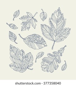 Forest leaves, maple, oak, linden. Vector. Hand drawn artwork. Set collection. Bohemia concept for invitation card, ticket, branding, logo, label. Monochrome dark grey blue, beige color