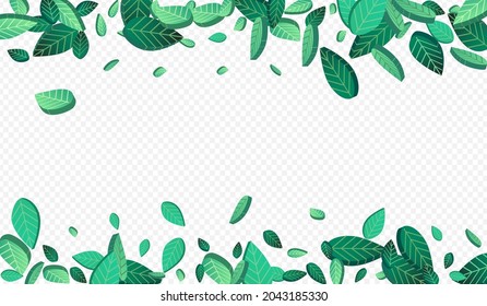 Forest Leaves Motion Vector Transparent Background Banner. Fly Greens Background. Olive Foliage Forest Concept. Leaf Falling Design.