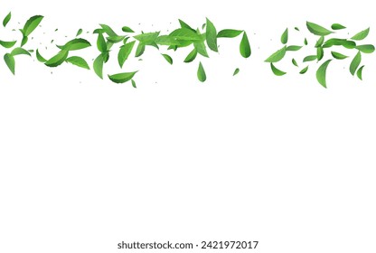 Forest Leaves Motion Vector White Background Template. Herbal Leaf Concept. Green Greens Spring Border. Foliage Tea Wallpaper.