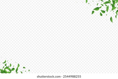 Forest Leaves Nature Vector Transparent Background Poster. Flying Leaf Template. Swamp Greens Ecology Illustration. Foliage Wind Branch.