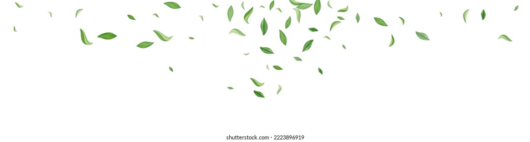 Forest Leaves Nature Vector White Panoramic Background Brochure. Realistic Leaf Plant. Grassy Foliage Herbal Concept. Greens Ecology Pattern.