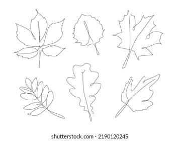 Forest leaves one line set  Autumn leaf linear collection  Simple outline leaves