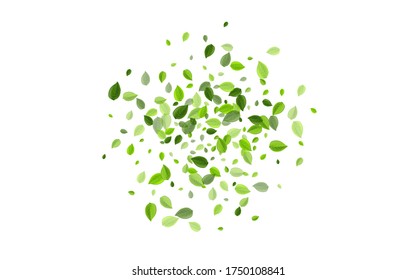 Forest Leaves Organic Vector Border. Transparent Leaf Wallpaper. Grassy Foliage Motion Background. Greens Abstract Illustration.