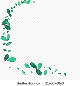 Forest Leaves Organic Vector Transparent Background Backdrop. Realistic Foliage Template. Olive Greens Ecology Background. Leaf Swirl Brochure.
