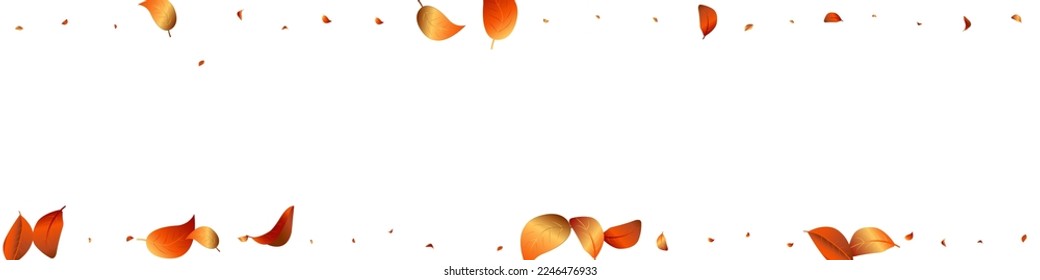 Forest Leaves Organic Vector White Panoramic Background Brochure. Abstract Solar Banner. Golden Leaf Spring Border. Foliage Motion Branch.