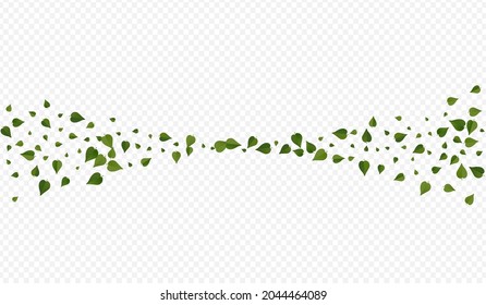 Forest Leaves Realistic Vector Transparent Background Branch. Falling Foliage Banner. Olive Greens Tea Illustration. Leaf Organic Design.