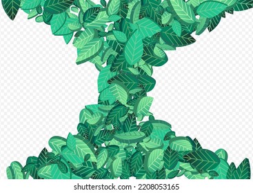 Forest Leaves Realistic Vector Transparent Background Template. Tree Foliage Banner. Mint Greens Organic Brochure. Leaf Swirl Branch.