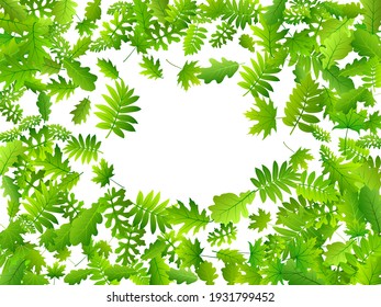 Forest leaves rustic vector pattern. Realistic forest foliage closeup. Oak and maple leaves isolated. Botanical eco concept. Wild nature delicate backdrop.