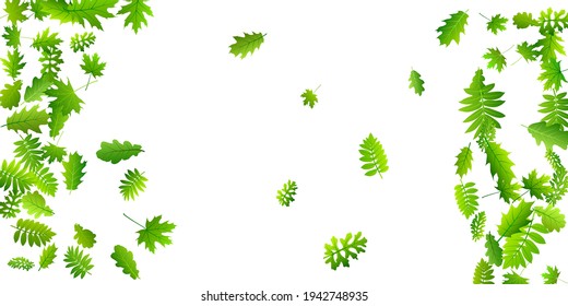 Forest leaves simple vector design. Wild forest foliage closeup. Mix of many different leaves flying. Herbal eco illustration. Fresh floral vibrant backdrop.