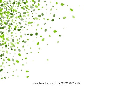 Forest Leaves Spring Vector Background. Blur Leaf Illustration. Olive Greens Realistic Backdrop. Foliage Flying Concept.
