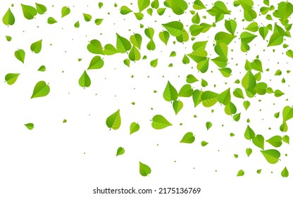 Forest Leaves Spring Vector White Background Illustration. Abstract Foliage Backdrop. Swamp Leaf Blur Wallpaper. Greens Forest Pattern.
