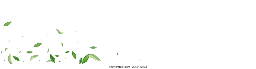 Forest Leaves Spring Vector White Panoramic Background Concept. Forest Foliage Wallpaper. Swamp Leaf Fresh Design. Greens Realistic Brochure.