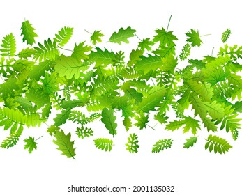 El bosque deja un sutil patrón vectorial. Selva silvestre cerrada. Rowan y maple dejan aisladas. Ilustración ecológica botánica. Vector ambiental simple.