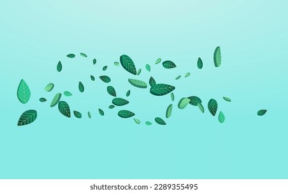 Forest Leaves Swirl Vector Blue Background Illustration. Ecology Leaf Plant. Grassy Greens Transparent Template. Foliage Forest Background.