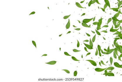Forest Leaves Swirl Vector White Background Template. Fresh Leaf Design. Olive Foliage Realistic Concept. Greens Wind Plant.