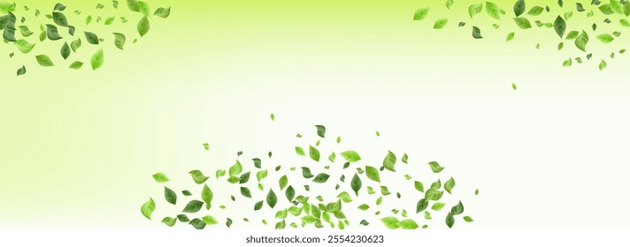 Forest Leaves Tea Vector Green Background Backdrop. Fresh Greenery Border. Grassy Leaf Tree Banner. Foliage Spring Design.