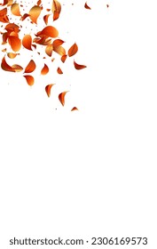 Forest Leaves Transparent Vector White Background Banner. Nature Solar Illustration. Red Leaf Abstract Brochure. Foliage Fresh Plant.