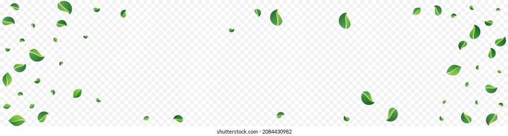 Forest Leaves Tree Vector Panoramic Transparent Background. Fresh Foliage Concept. Lime Greens Wind Banner. Leaf Forest Plant.
