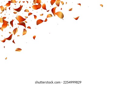 Forest Leaves Tree Vector White Background Poster. Swirl Solar Branch. Orange Leaf Realistic Template. Foliage Fly Border.