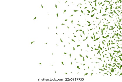 Forest Leaves Tree Vector White Background Branch. Organic Greens Template. Lime Foliage Wind Border. Leaf Herbal Design.